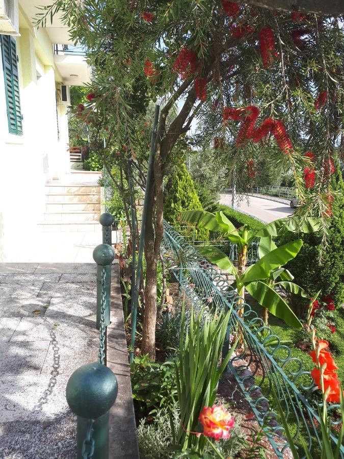 Apartments Simo Petrovac Exterior photo