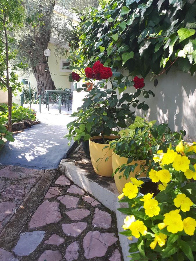 Apartments Simo Petrovac Exterior photo