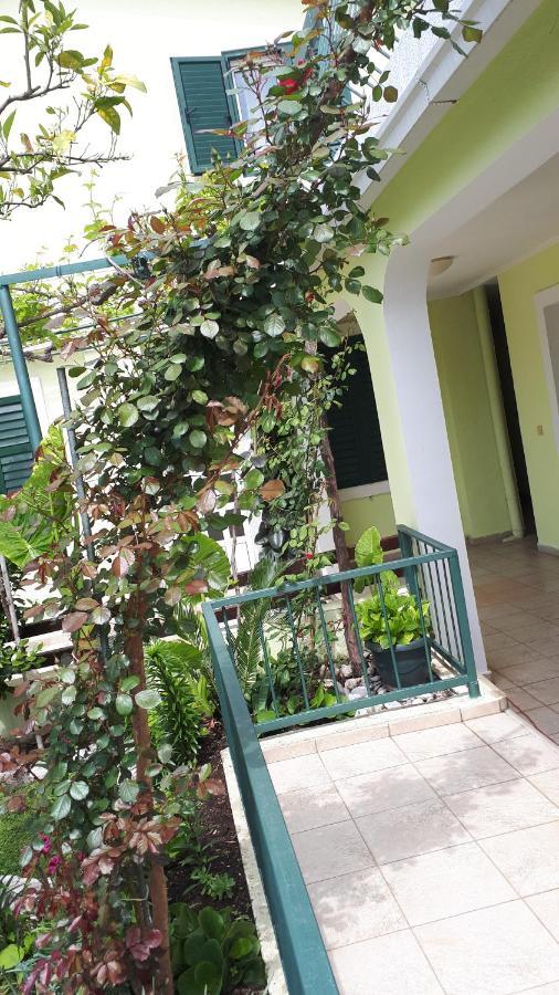 Apartments Simo Petrovac Exterior photo
